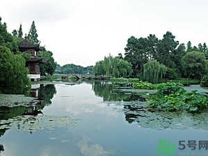 菱角是什么？菱角是什么季節(jié)成熟的？