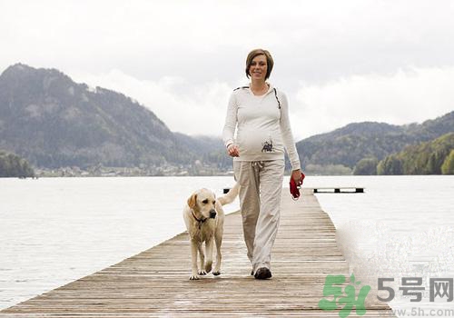 孕婦可以和狗狗在一起嗎？孕婦和狗狗接觸好不好？