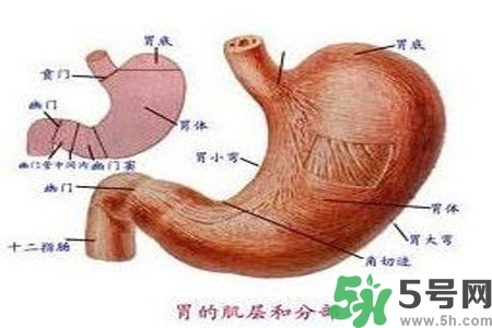 急性腸胃炎哪些食物不可以吃？急性腸胃炎不能吃的水果有？