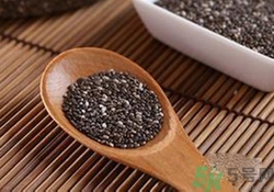 奇亞籽是什么？奇亞籽的功效作用
