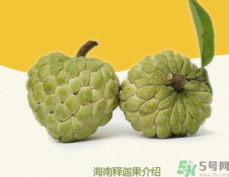 釋迦果怎么吃？釋迦的營(yíng)養(yǎng)價(jià)值功效作用