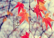 秋燥的表現(xiàn)是什么？小孩如何預(yù)防秋燥？