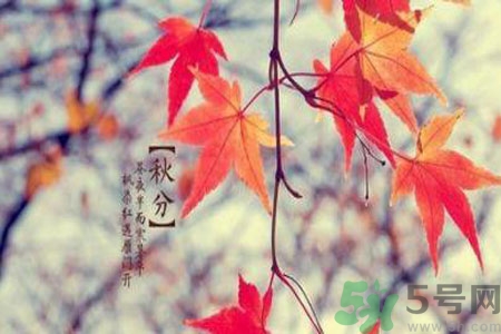 秋燥是什么？秋燥怎么辦？