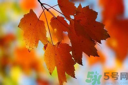 秋燥是什么？秋燥怎么辦？