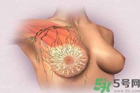 乳頭發(fā)黑怎么辦？怎么樣可以使乳頭變白？