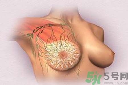 乳頭發(fā)黑是怎么回事？乳頭發(fā)黑是什么原因？