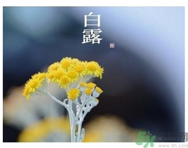 白露身不露是什么意思？白露還熱嗎？