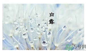 白露身不露是什么意思？白露還熱嗎？
