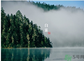 白露吃什么好？白露食療