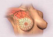 乳頭發(fā)黑是怎么回事？乳頭發(fā)黑是什么原因？