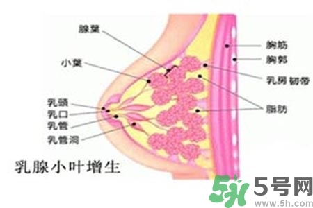 乳房上有硬塊怎么辦？乳房有硬塊的病因是什么？