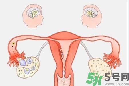 陰道出血和什么有關(guān)？陰道出血的應(yīng)急措施有哪些？