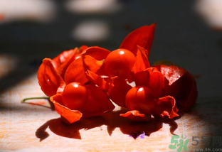 紅姑娘怎么吃？紅姑娘怎么保存？