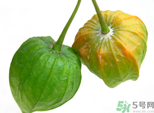 紅姑娘吃多了會(huì)怎樣？吃野生紅姑娘的好處和壞處