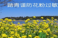 花粉過(guò)敏的表現(xiàn)是什么？如何有效的預(yù)防花粉過(guò)敏？