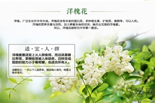 洋槐蜜的鑒別方法是什么？洋槐蜜多少錢一斤？