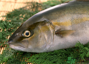 魚眼睛可以吃嗎？吃魚眼睛有什么好處？