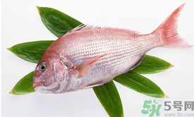 吃魚眼睛對(duì)眼睛有好處嗎？吃什么魚對(duì)眼睛好？