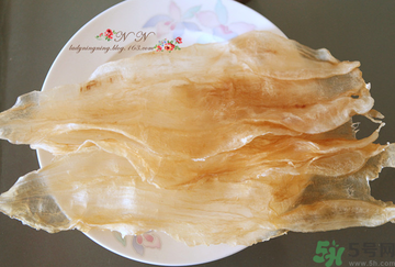 魚膠是什么？魚膠的功效與作用？