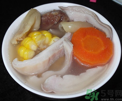 魚膠怎么燉不腥？魚膠的燉法推薦