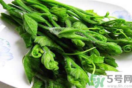 南瓜藤的功效作用有哪些？南瓜藤的食用價值是什么？