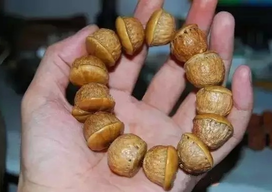 壯陽果怎么泡酒？ 壯陽果泡酒的功效與作用