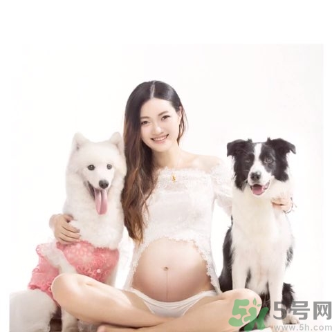 孕婦可以養(yǎng)狗嗎？養(yǎng)狗對孕婦有影響嗎？