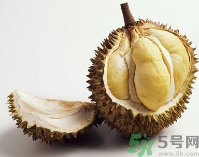 榴蓮能放冰箱嗎？榴蓮放在冰箱能保存幾天？