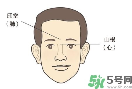 耳垂上有豎紋是怎么回事？山根有橫紋是什么??？