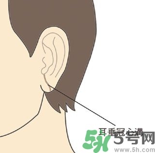 耳垂上有豎紋是怎么回事？山根有橫紋是什么?。?></p><h3>面色</h3><h5>我們東方人正常的臉色是黃紅隱隱，有光澤滋潤(rùn)感，但會(huì)隨著季節(jié)，顏色稍微有些變化，例如夏天天氣炎熱，臉色稍微偏紅，冬天天氣寒冷，臉色稍微偏白，都是正常的。但是若有以下情況可就要小心了！</h5><h4>1. 面色長(zhǎng)期不變，不隨季節(jié)改變。</h4><p>● 面色暗紅，底層多細(xì)細(xì)的暗色小血絡(luò)。</p><p>● 面色灰黑暗沉，沒(méi)有光澤，甚至浮腫。</p><p>● 面色蒼白沒(méi)有光澤。</p><h4>2.冬天時(shí)兩側(cè)顴骨偏紅，甚至有熱感。</h4><p>許多風(fēng)濕性心臟病患者，當(dāng)他的二尖瓣出現(xiàn)病變時(shí)，面色會(huì)變?yōu)榘导t。中醫(yī)認(rèn)為面部代表心臟，面部不正常的暗紅色或暗沉，尤其暗紅色出現(xiàn)在屬於小腸經(jīng)的顴骨部位，除了氣血阻滯之外，還表示心臟跳動(dòng)過(guò)度，就像引擎過(guò)熱一樣，長(zhǎng)此以往，很容易胸部悶痛、呼吸短促，嚴(yán)重者還會(huì)出現(xiàn)心臟衰竭。</p><p>面色蒼白者，多屬於氣血不足的虛證，體力差，容易心悸胸悶。</p> </div>
<div align=