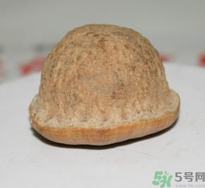 壯陽(yáng)果多少錢(qián)一斤？壯陽(yáng)果真的有效果嗎？