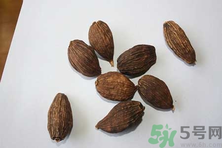 草果是什么？草果的功效與作用