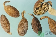 草果是什么？草果的功效與作用