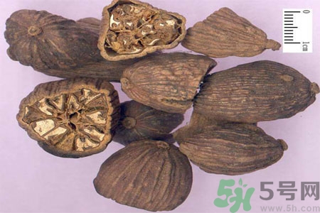 草果是什么？草果的功效與作用