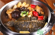 甲魚的營(yíng)養(yǎng)價(jià)值 甲魚的功效與作用
