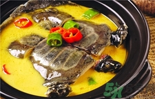 甲魚的營(yíng)養(yǎng)價(jià)值 甲魚的功效與作用