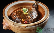 甲魚的營(yíng)養(yǎng)價(jià)值 甲魚的功效與作用