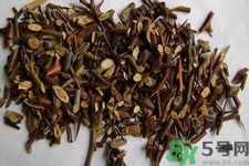 皂角刺的藥用價值是什么？皂角刺的功效與作用有哪些？