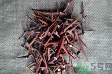 皂角刺的藥用價值是什么？皂角刺的功效與作用有哪些？