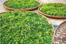 普洱茶怎么保存？茶葉能放冰箱嗎？
