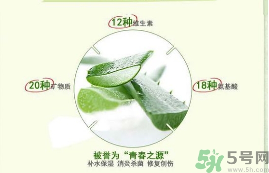 the saem得鮮和自然樂(lè)園哪個(gè)好？得鮮的蘆薈膠和自然樂(lè)園哪個(gè)好？