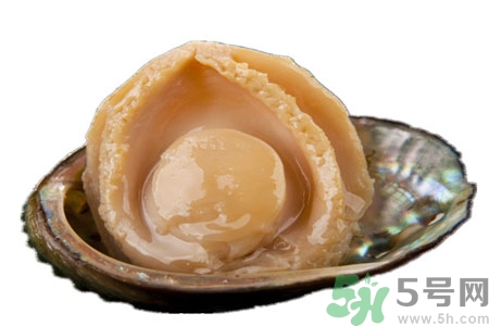 鮑魚如何挑選？鮑魚怎么保存？