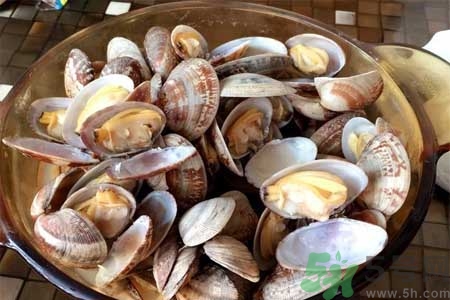 蛤蜊的食用方法有哪些？蛤蜊的營(yíng)養(yǎng)價(jià)值是什么？
