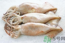 魷魚(yú)怎么處理？干魷魚(yú)怎么泡發(fā)？