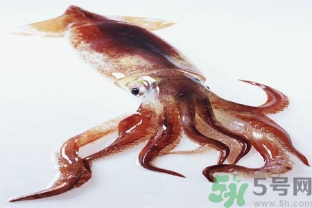 魷魚(yú)怎么處理？干魷魚(yú)怎么泡發(fā)？
