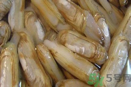 蟶子怎么洗？新鮮蟶子怎么挑選？