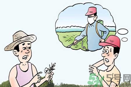 怎么洗掉水果上的農(nóng)藥？農(nóng)藥殘留的危害有哪些？