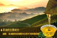 茶油是什么？茶油怎么吃？