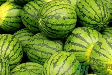 西瓜牛奶可以一起吃嗎？西瓜牛奶怎么做好吃？