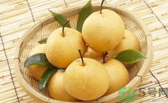 娃娃梨是怎么種出來的？娃娃梨為什么外形像娃娃？